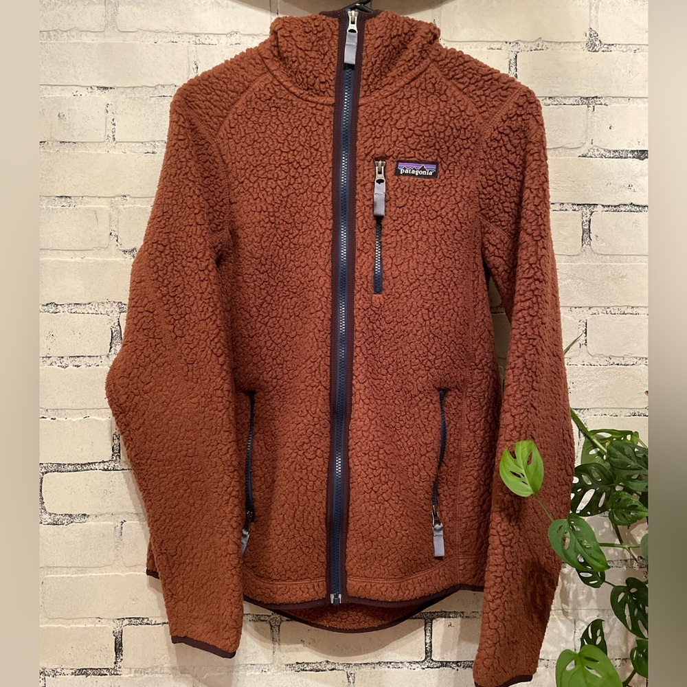 🍁Patagonia Teddy Sherpa Jacket